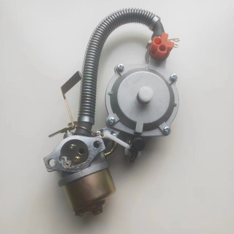 Lpg166 175l Dual-fuel-vergaserumbau - H2700.