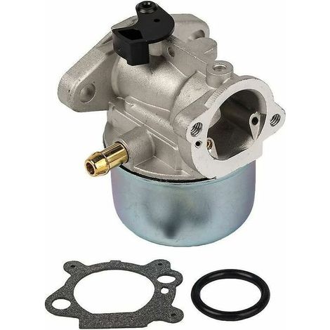 Vergaser 799868 Mit Dichtung Und O-ring