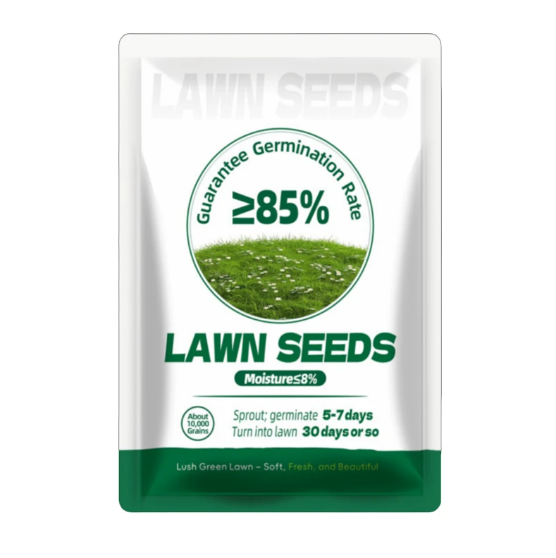 500 G Grassamen – Immergrüne Grassamen, Resistent Gegen Kälte Und Trockenheit, Zur Stabilisierung Von Hängen Und Höfen.