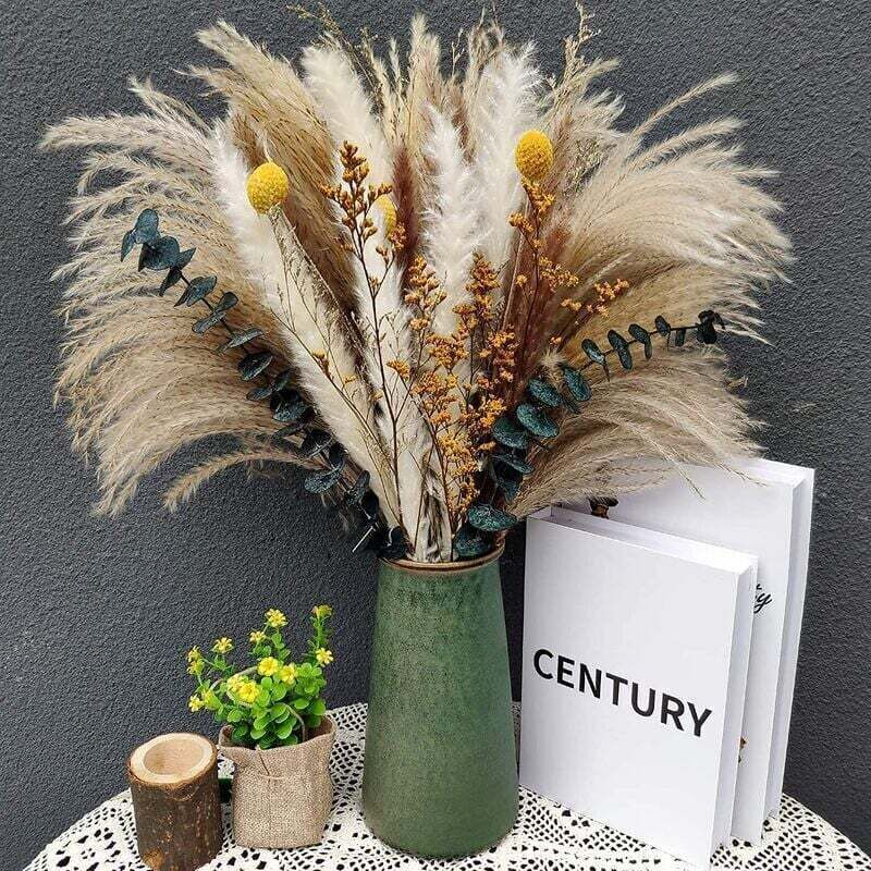 Natürliche Trockenblumensträuße: 7 Sorten Eukalyptus Und Pampasgras Für Die Heimdekoration.