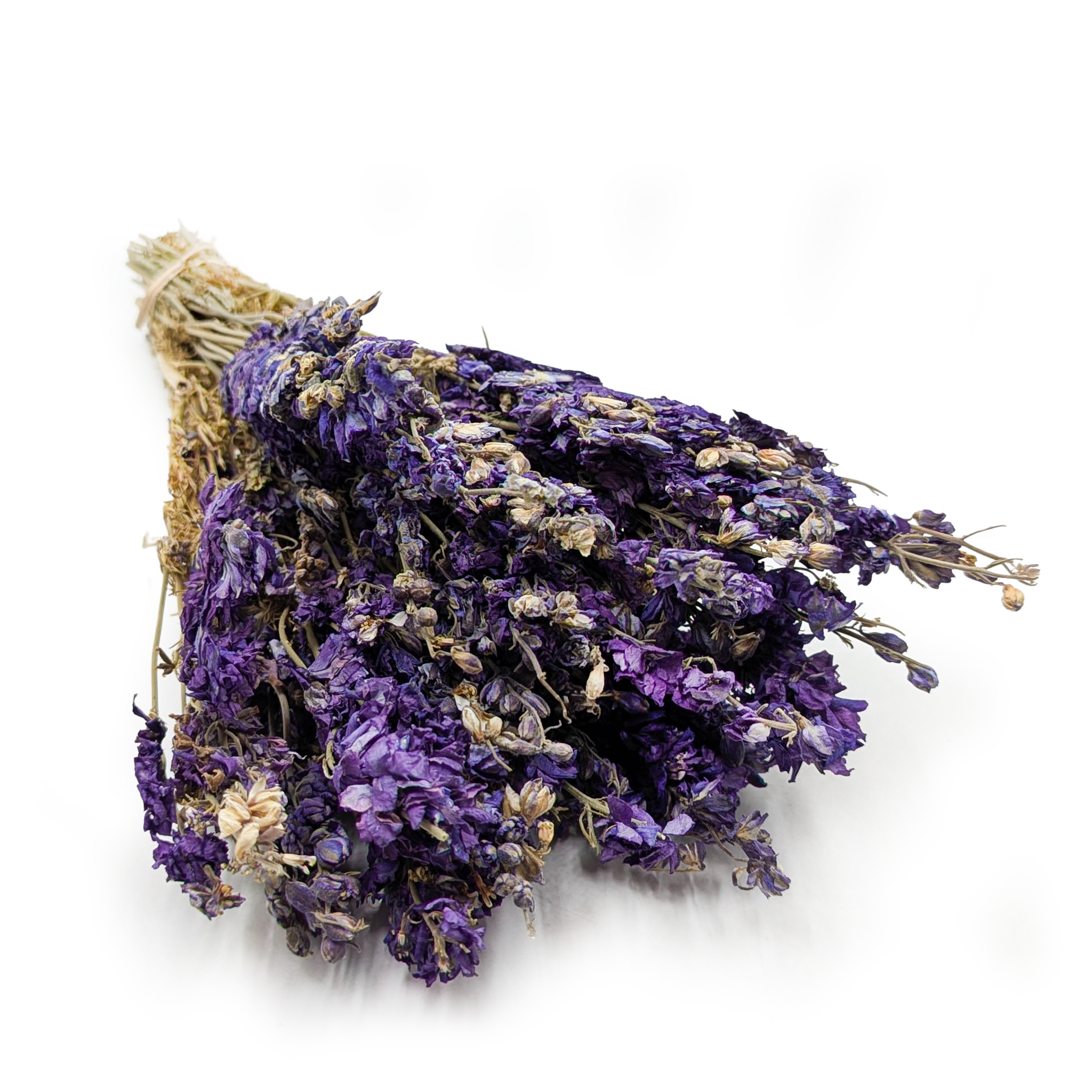 Getrockneter Rittersporn (delphinium) – Blau