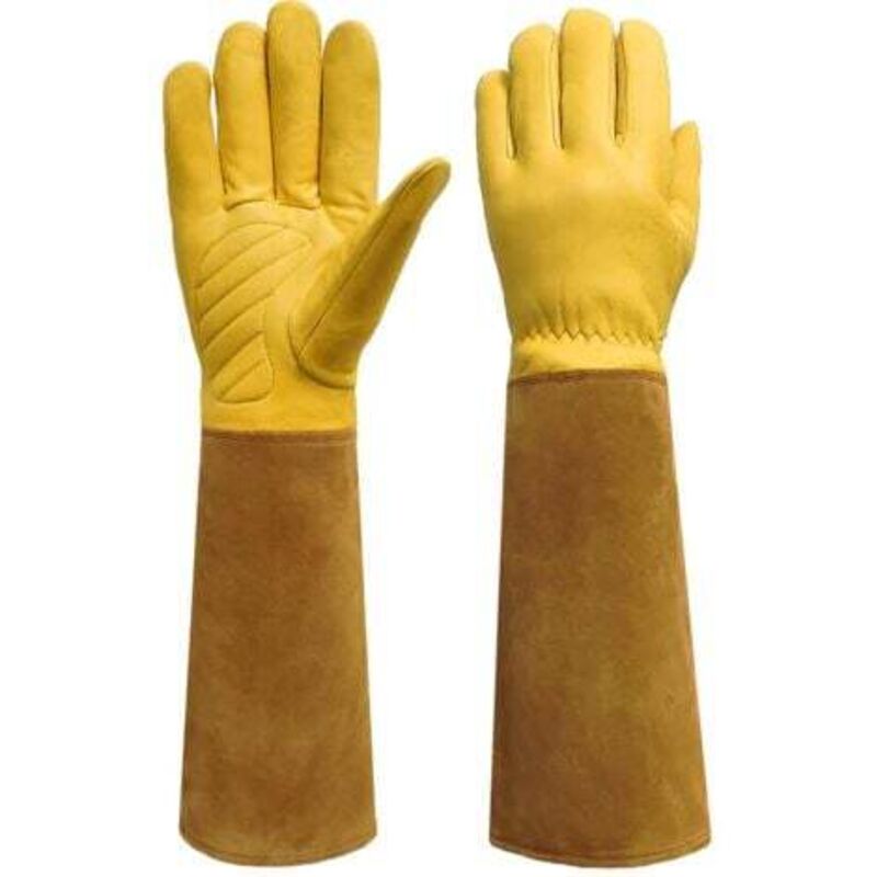 [niemals Verwendet] Dornenschutzhandschuhe, Lange Gartenhandschuhe, Dornen- Und Schnittfest, Größe 11,5 Cm – Braun