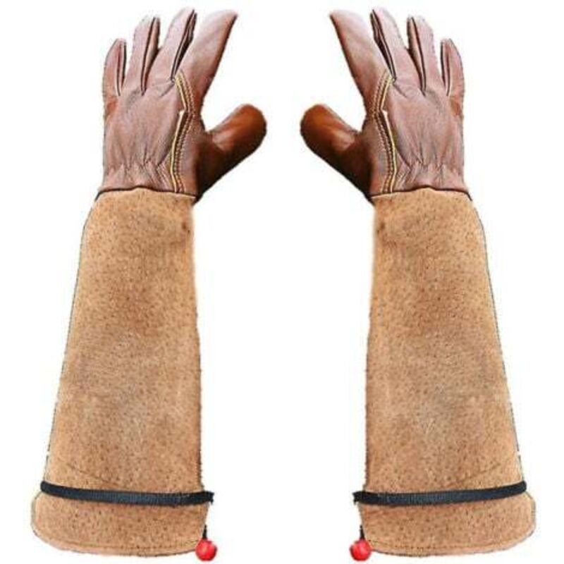 [niemals Verwendet] (s) Gartenhandschuhe, 1 Paar, Dornenfeste Rosenschneidehandschuhe, Handschuhe Aus Schaffell Und Schweinsleder, Blumenhandschuhe