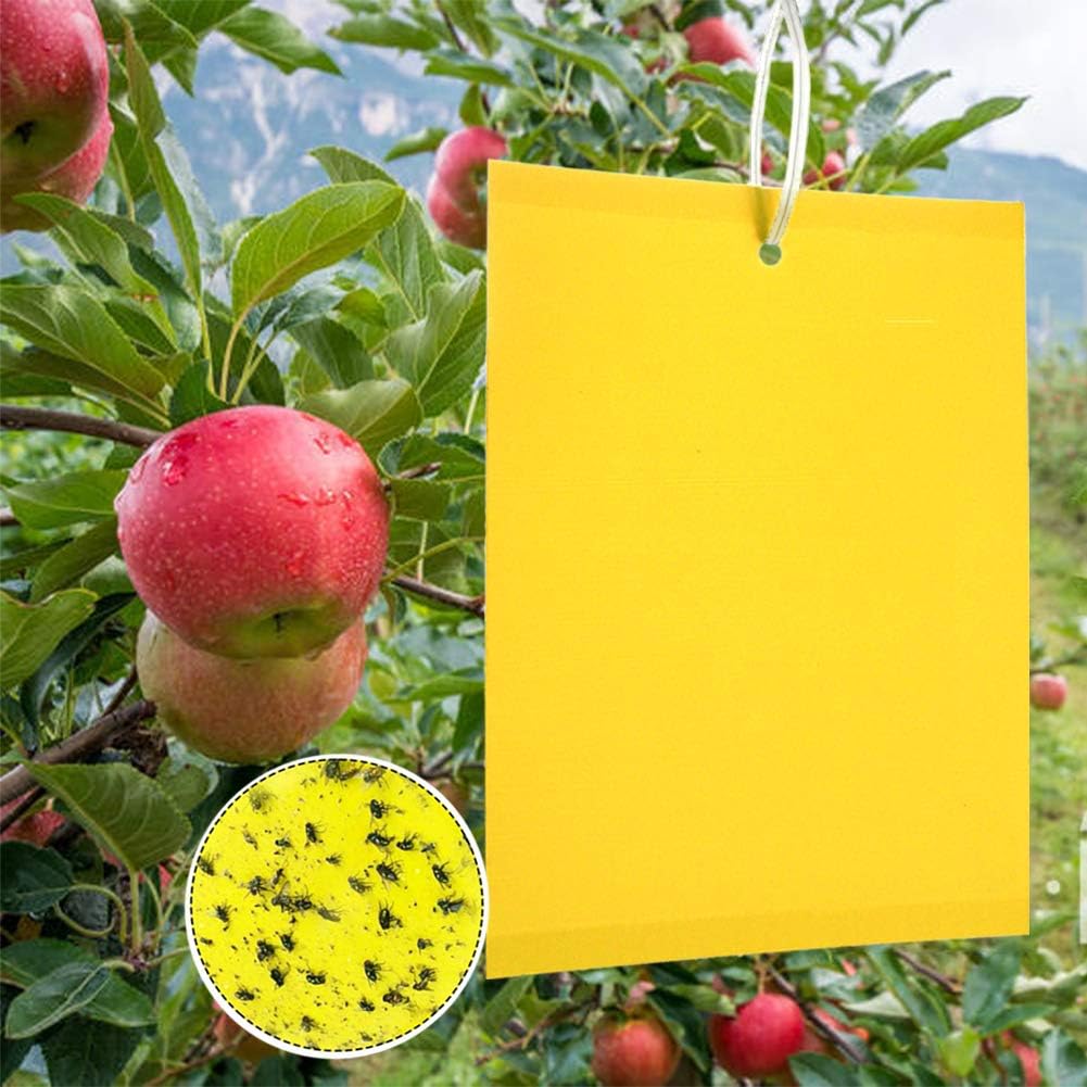50 Gelbe Klebefallen Gegen Fliegen, Blattläuse, Minierfliegen Und Schmetterlinge – Schutz Für Obstplantagen