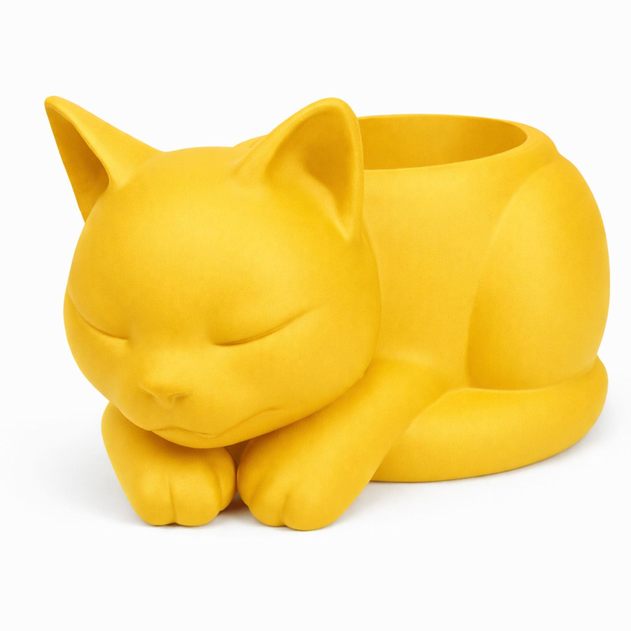 Blumentopf Mit Schlafender Katze, Gelber Dekorativer Übertopf Für Sukkulenten Und Kakteen