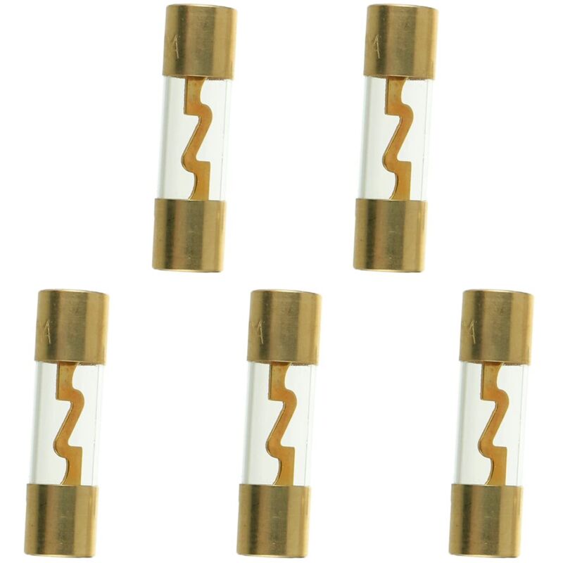 Agu 30a Goldglassicherung, 5er-pack, Für Auto-, Boots- Und Stereo-audioverstärker – Zuverlässiger Stromschutz – Ulisem