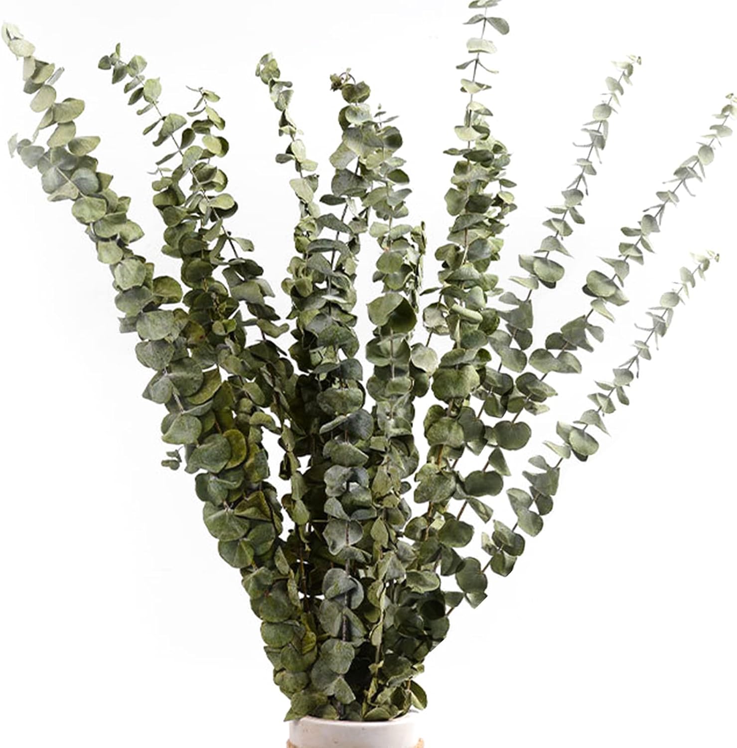 Ausverkaufsset Mit 15 Natürlichen Getrockneten Eukalyptusblüten, Blumenstrauß Aus Natürlichen Getrockneten Blumen, 30–38 Cm, Dekoration Für Schlafzimmer, Wohnzimmer, Flur, Balkon