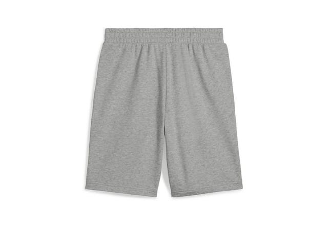 Puma Ess 2 Color No.1 Logo 10" Tr Herrenshorts Grau 68471503 R Xl