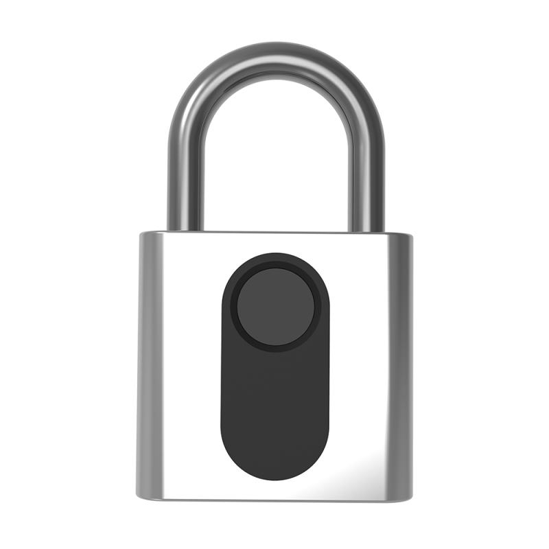 Gs40f Silbernes Smart-fingerabdruck-vorhängeschloss Für Fitnessstudio, Spind, Studentenwohnheim, Lagerhalle, Diebstahlschutz, Silber