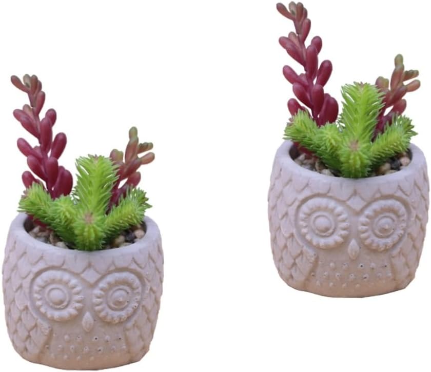2 Stück Simulierte Sukkulenten-bonsai-kunstpflanzen, Innendekoration, Wohnzimmer, Heimdekoration, Mini-kunstpflanzen, Desktop-ornament, Fleischiges Kunsthandwerk