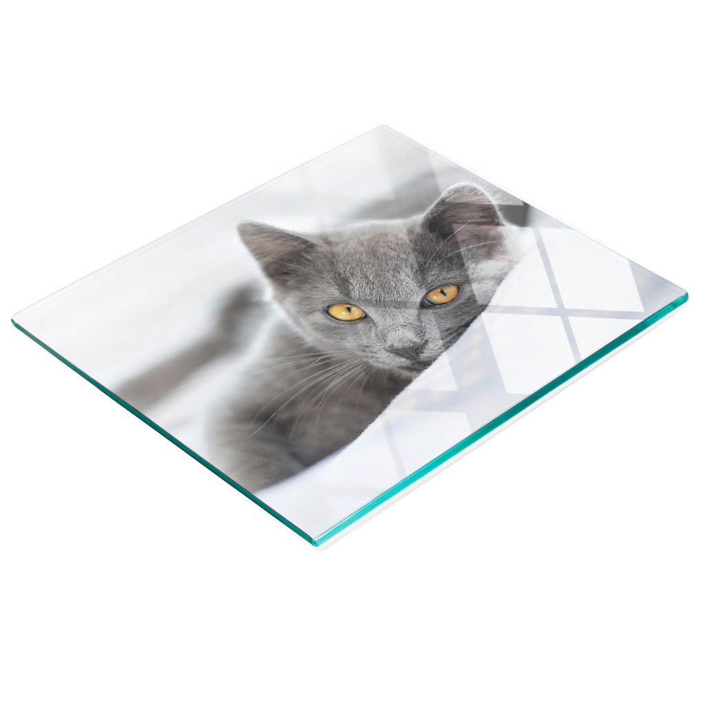 Dekorative, Multifunktionale Glasplatte Aus Gehärtetem Glas, Graue Katze, 60 X 52 Cm