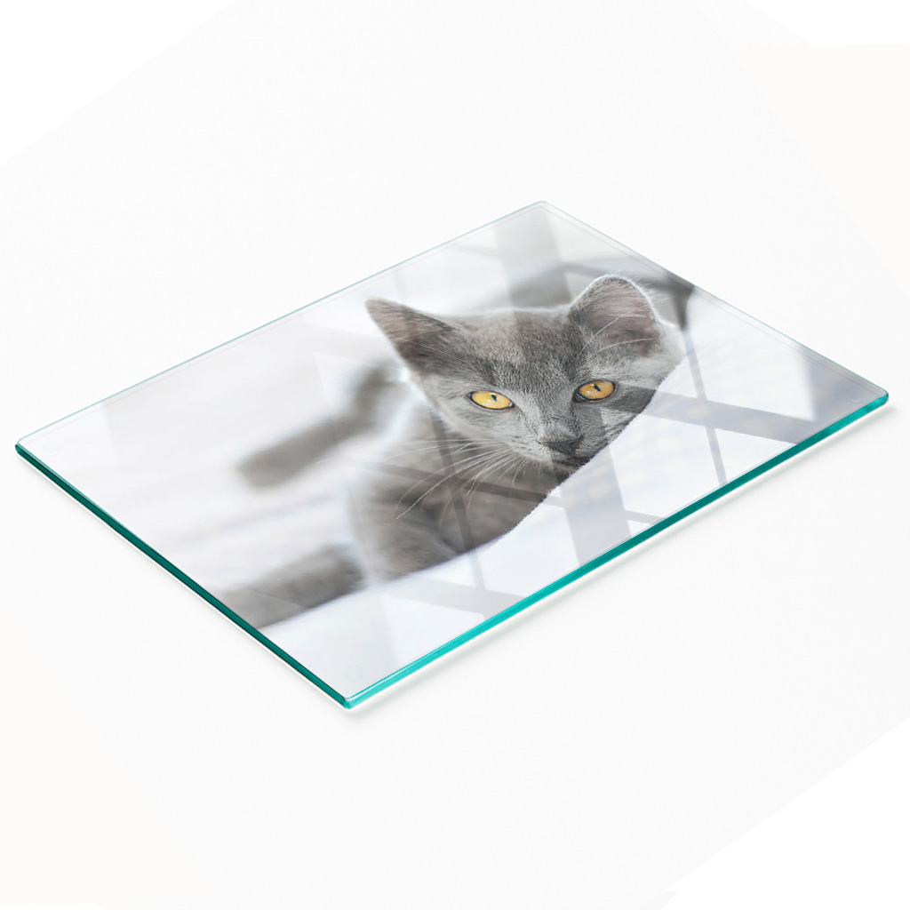 Dekorative, Multifunktionale Glasplatte Aus Gehärtetem Glas, Graue Katze, 80 X 52 Cm