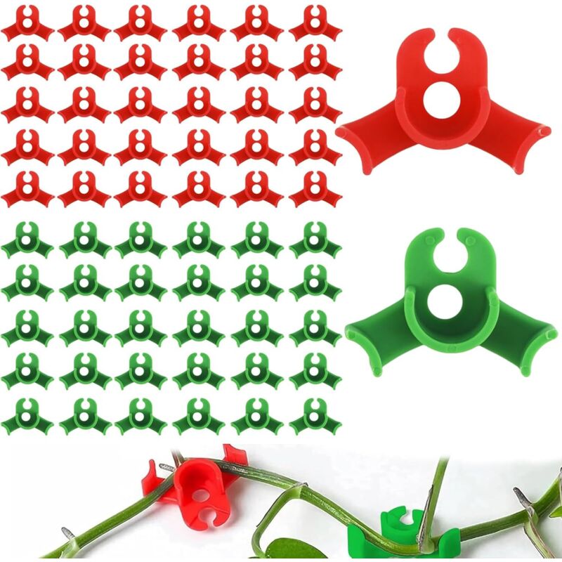 Packung Mit 60 Pflanzenclips – Stängel Für Geringere Belastung Um 90° Biegen – Rot Und Grün – Gartenbaumodell