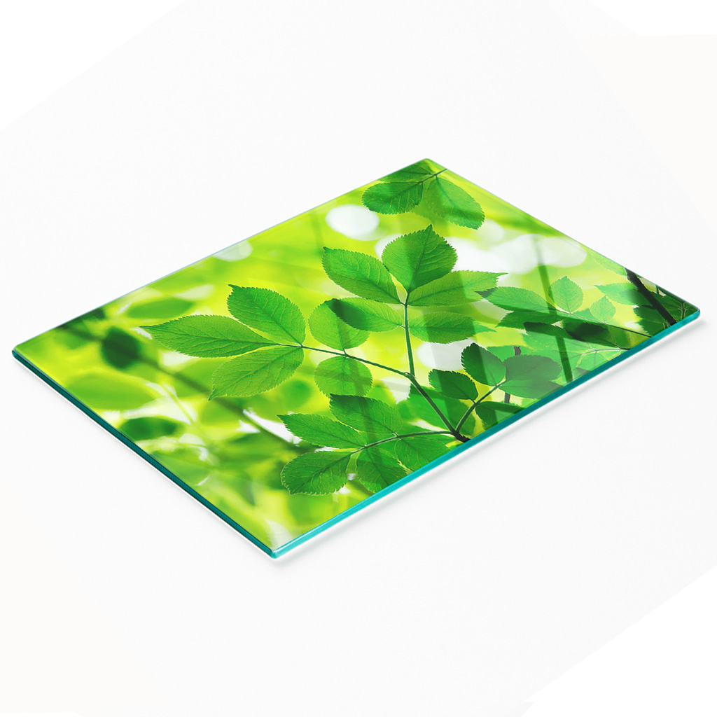 Dekorative, Multifunktionale Glasplatte Aus Gehärtetem Glas Mit Grünem Blättermotiv, 80 X 52 Cm