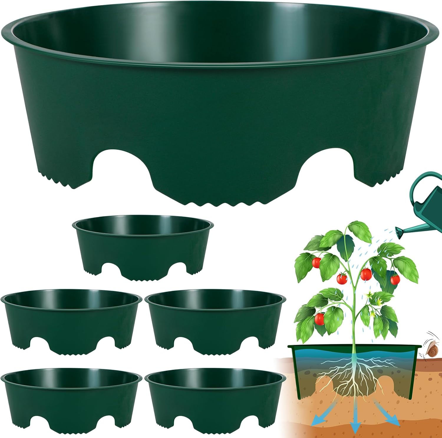 Set Mit 6 Pflanzringen À 30 Cm (12 Zoll) – Pflanzringe Und Anzuchtmanschetten Zum Schutz Vor Steinen Und Schädlingen Sowie Für Tiefes Gießen – Ideal Für Gemüse