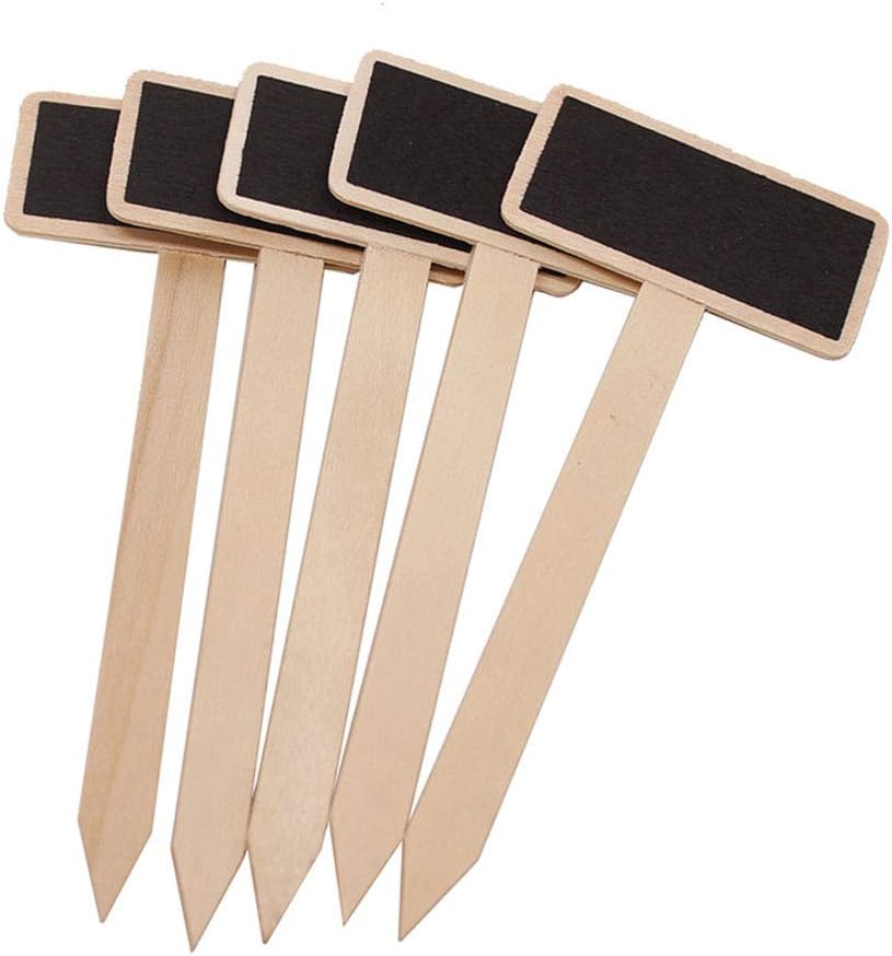 Set Mit 20 Kreativen Pflanzenetiketten Aus Holz Für Baumschulpflanzen, Schieferplatten, Gartenmarkierungen, Saatgutkennzeichnungen, Gartenstecker, Gartenetiketten, Partyzubehör