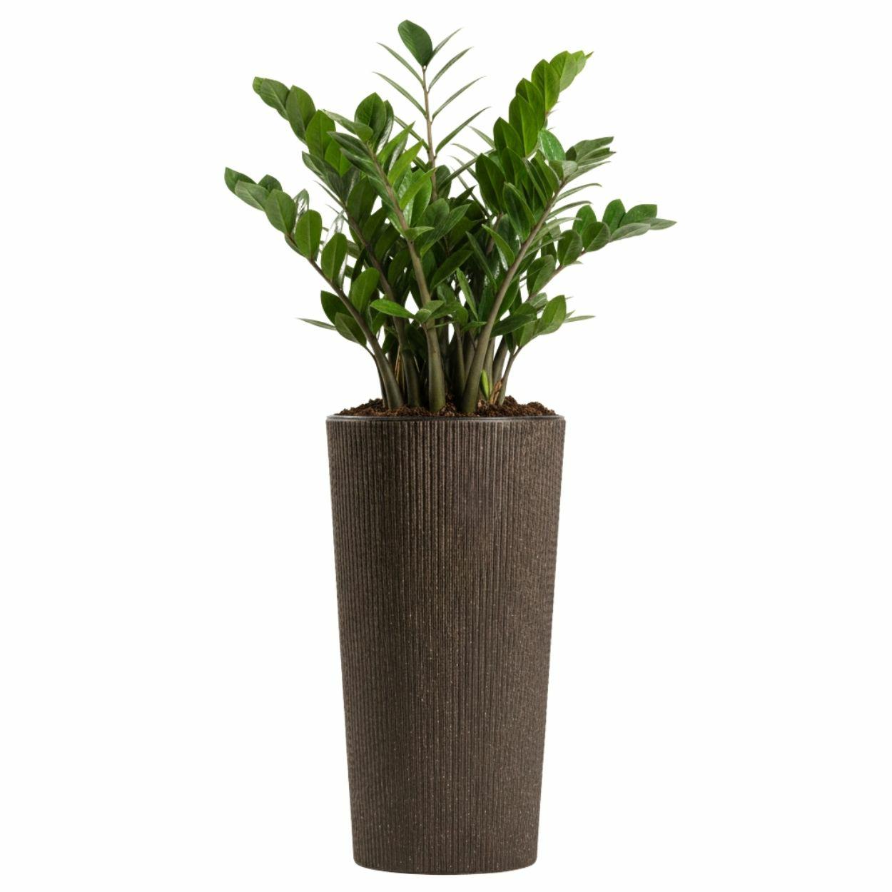 Urbanika Kaffee-espresso-blumentopf, H 36,4 X 19,6 Cm