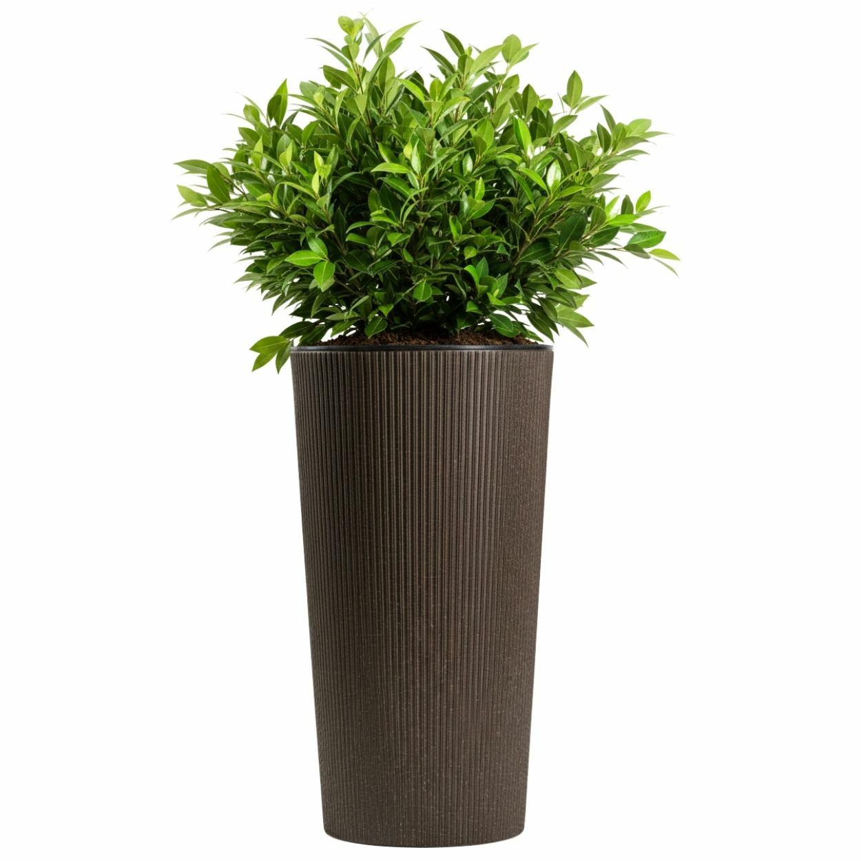 Urbanika Kaffee-espresso-blumentopf, H 57,1 X 29,5 Cm
