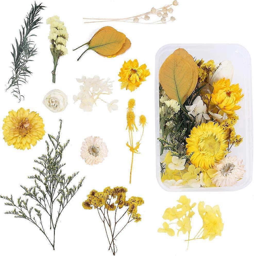 Diy-set Mit Natürlichen Trockenblumen Und Aufbewahrungsbox: Gelbe Gänseblümchen, Hortensien, Eukalyptus