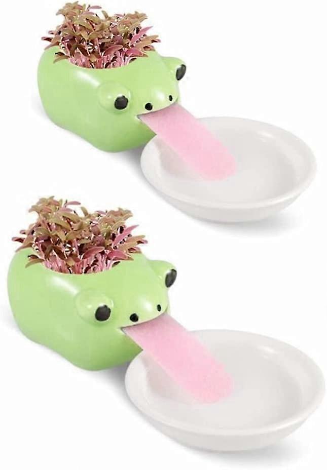 Mini-keramikblumentöpfe Mit Saugnäpfen Und Untersetzer Für Sukkulenten Und Kakteen, Dekoration Für Zuhause, Büro Und Inneneinrichtung. Froschmotiv.