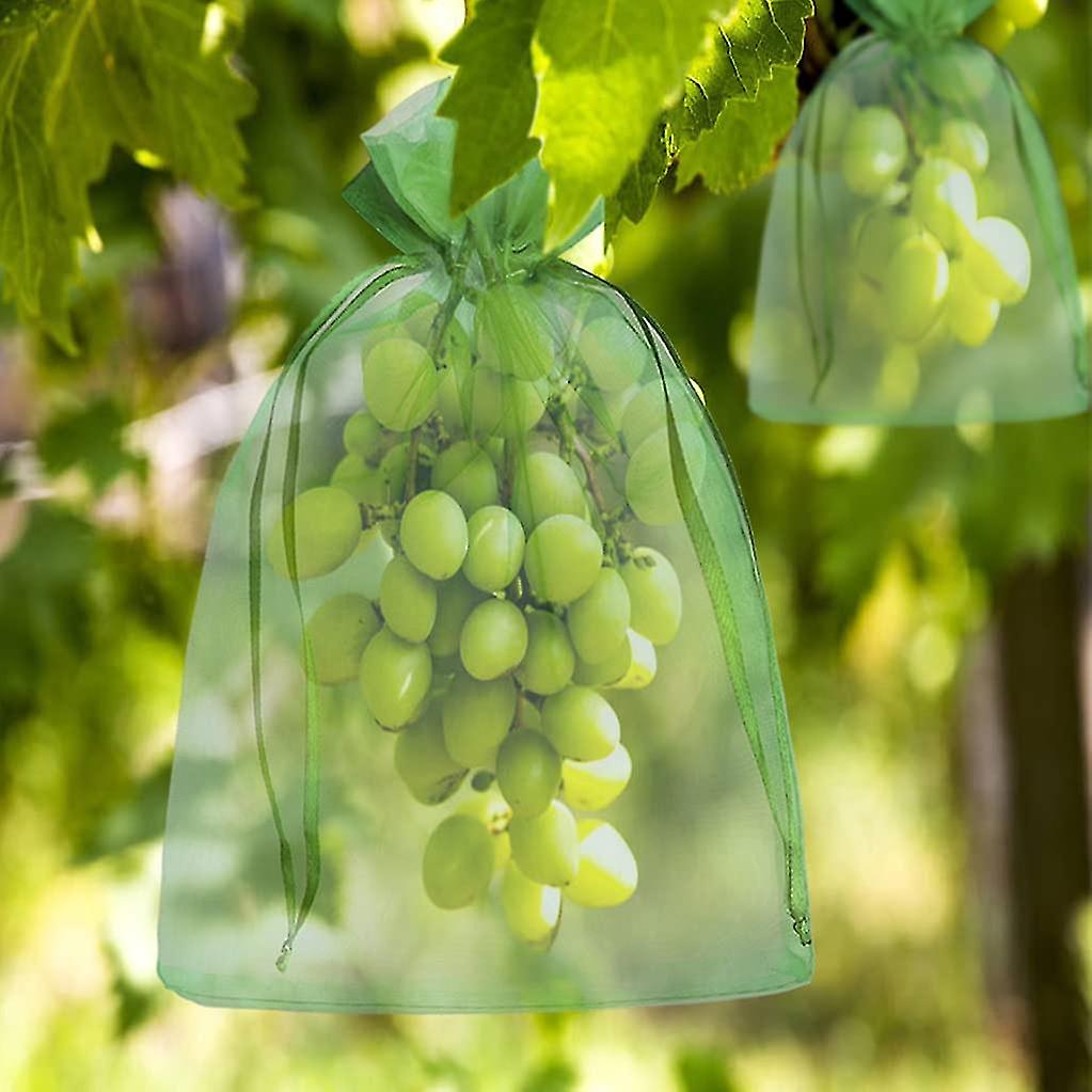 200 Schutzhüllen Für Weintrauben (30 X 20 Cm / 23 X 17 Cm) Aus Organza Mit Kordelzug. Rundumschutz Vor Wespen, Vögeln Und Anderen Insekten.