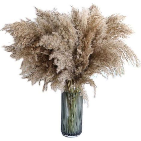 Pair Pampasgras, 20 Stück, 60 Cm, Natürlich Getrocknet, Hochzeitsstrauß, Trendiger Strauß, Künstliche Blumen, Für Die Heimdekoration, Für Vasen Im Innenbereich