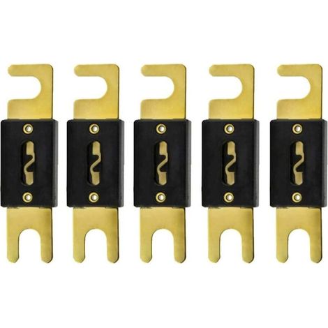 Pair 5 X 150a Anl Sicherungen Für Kfz-audio-stromversorgung, Vergoldete Glasröhren
