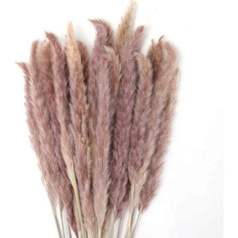 Pair 30 Stück Pampasgras, 60 Cm Natürlicher, Getrockneter Pampasblumenstrauß Für Vasen, Boho-dekoration Für Schlafzimmer, Wohnzimmer, Hochzeit, Fotoshooting, Tischdekoration