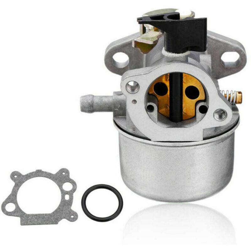 Briggs & Stratton Quantum Vergaser Mit Gummiring Und Universaladaptern