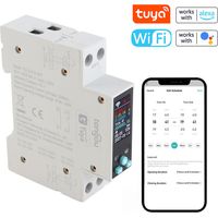 Intelligenter Wlan-schalter Mit Zähler Für 35-mm-din-schiene, Kwh-energiemessung, Timer, Prepaid-app-steuerung (tuya)