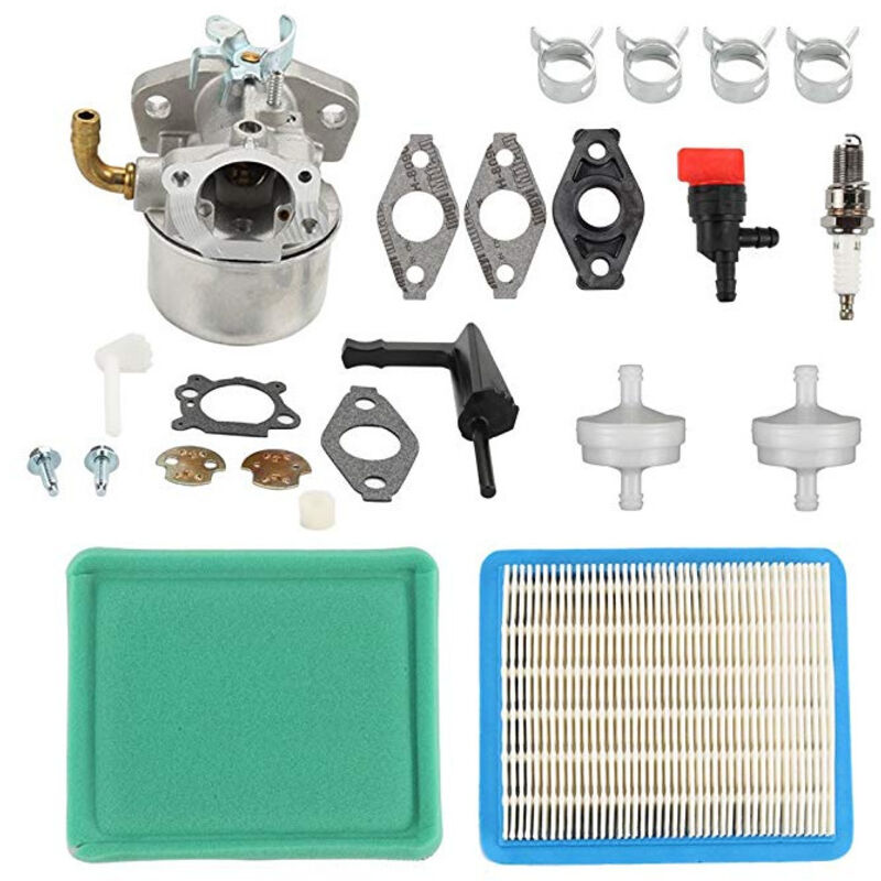 Vergaserbaugruppe 798653 - Briggs & Stratton 697354 795069 698860 - Mit Luftfilter, Schalter Usw.