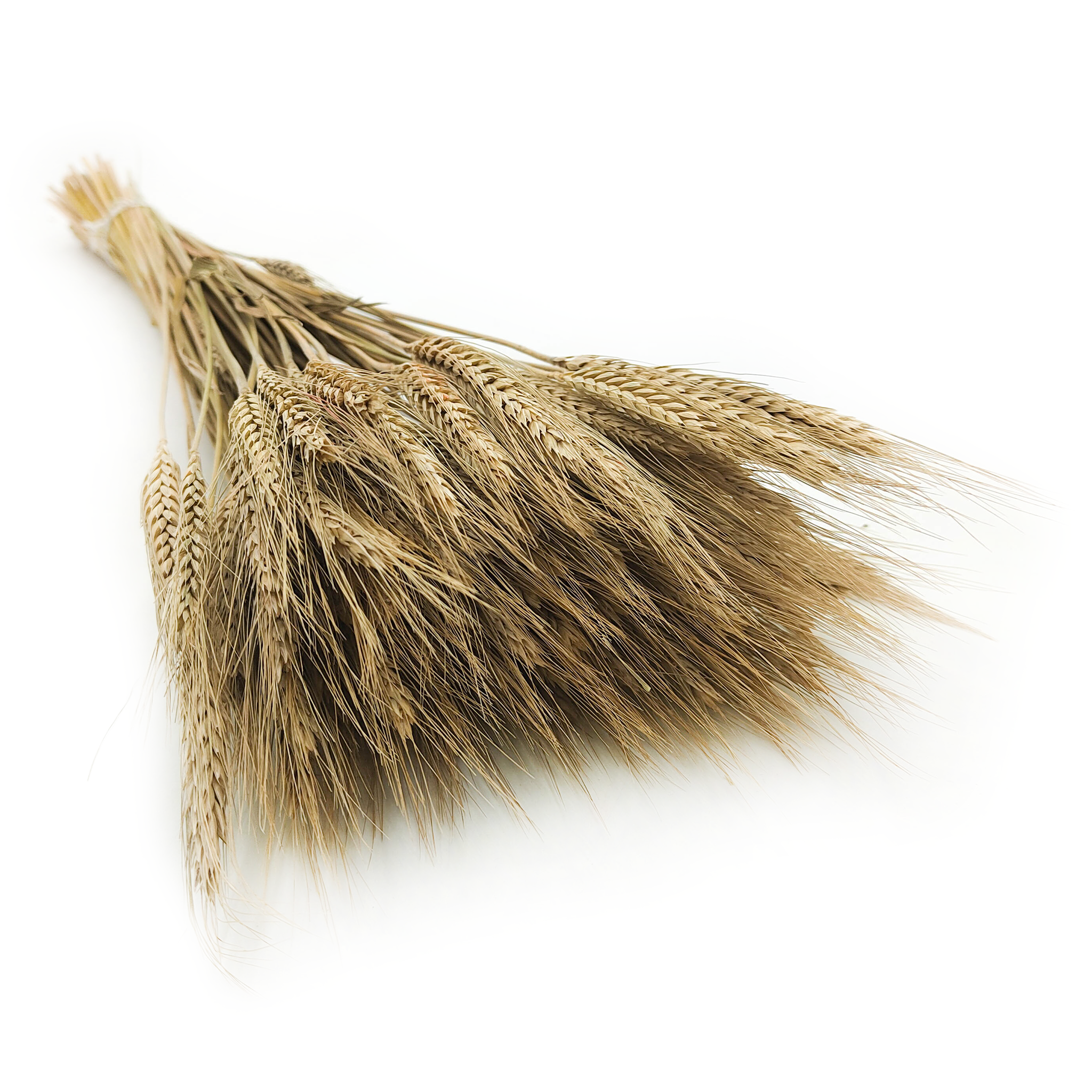 Getrockneter Triticale - Natürlich