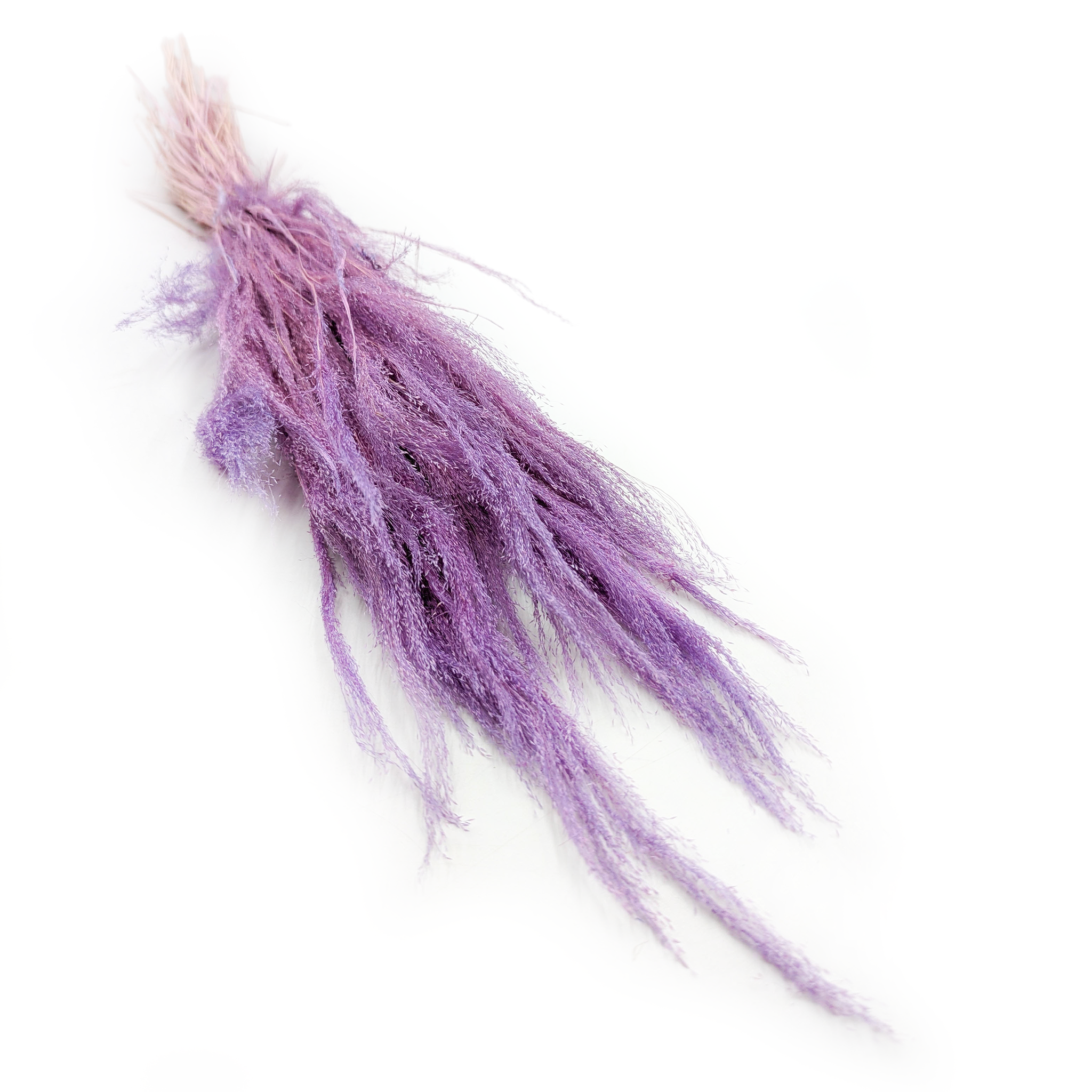 Getrocknetes Straußgras - Agrostis-gras - Lila
