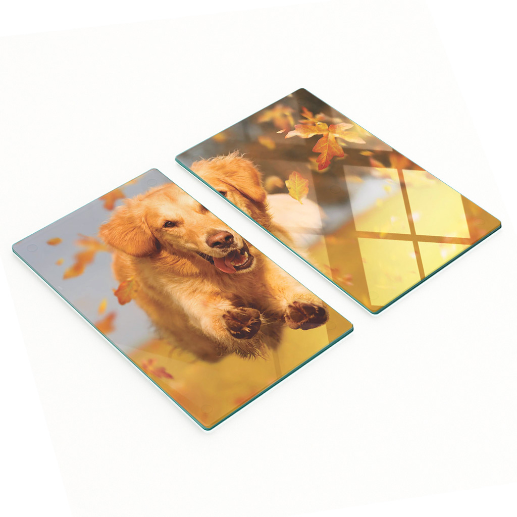 Kratzfeste Glasplatten Mit Golden-retriever-motiv, 2 X 30 X 52 Cm