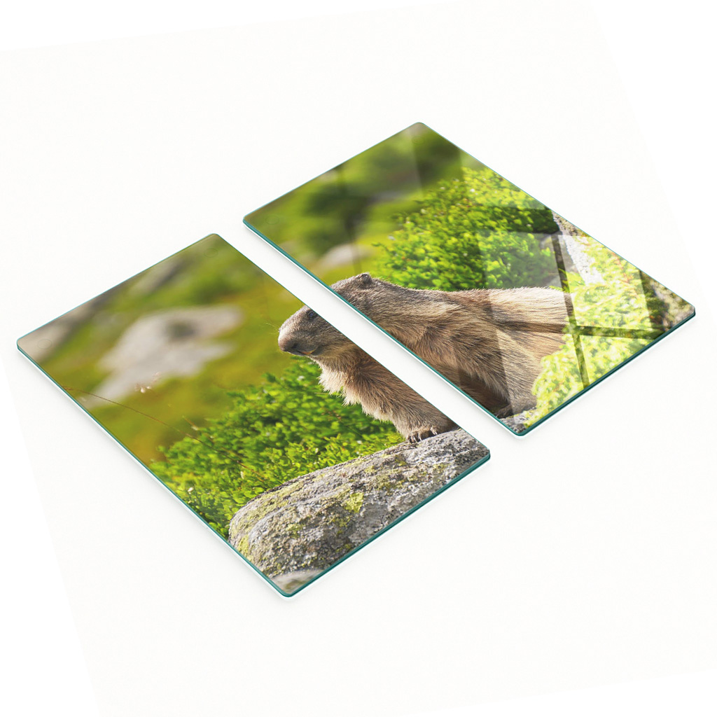 Robuste Und Stilvolle Glasplatten Mit Tatra-murmeltier-muster, 2 X 30 X 52 Cm