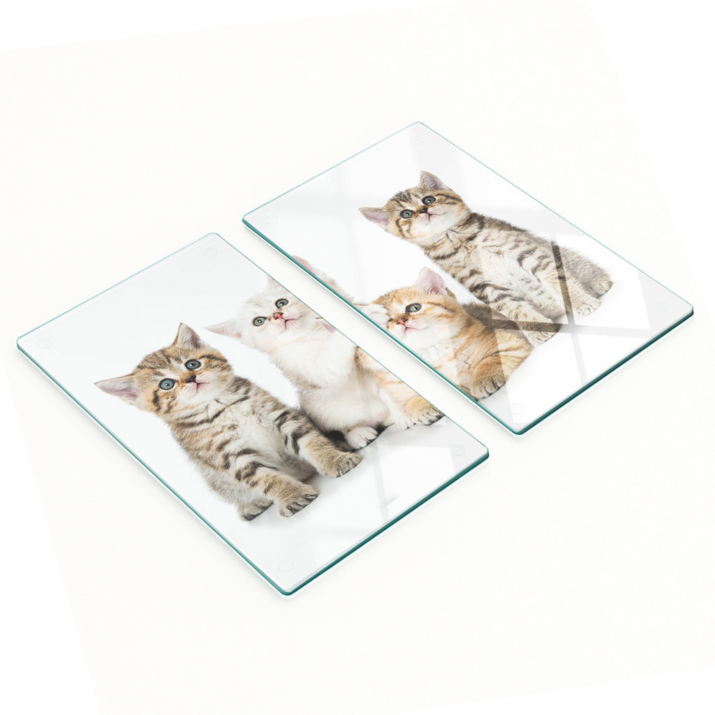 Multifunktionale Dekorative Glasplatten Mit Aufgedruckten Kleinen Katzen, 2 X 30 X 52 Cm