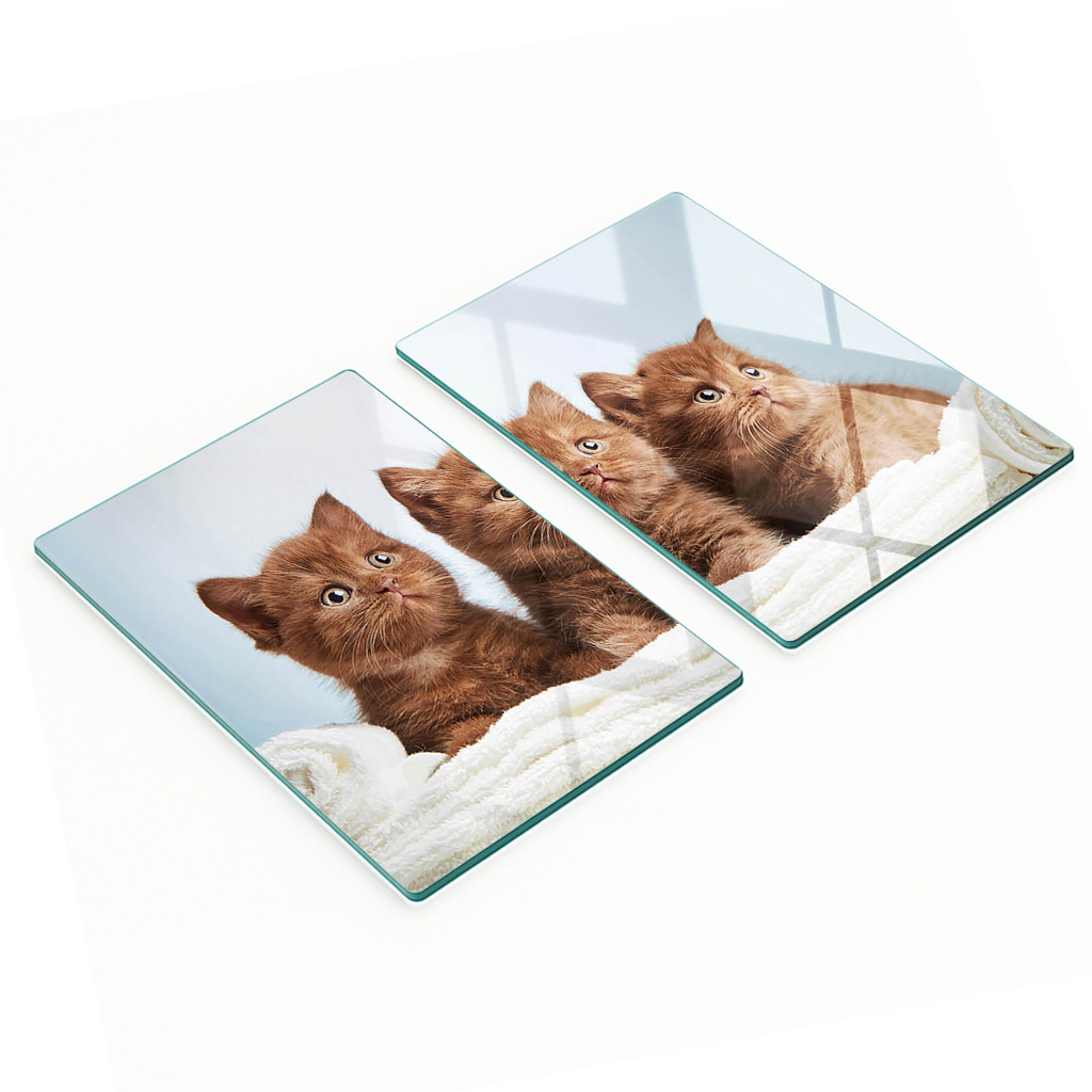 Set Aus Zwei Glas-küchenbrettern, Handtuch Für Kätzchen, 2 X 40 X 52 Cm