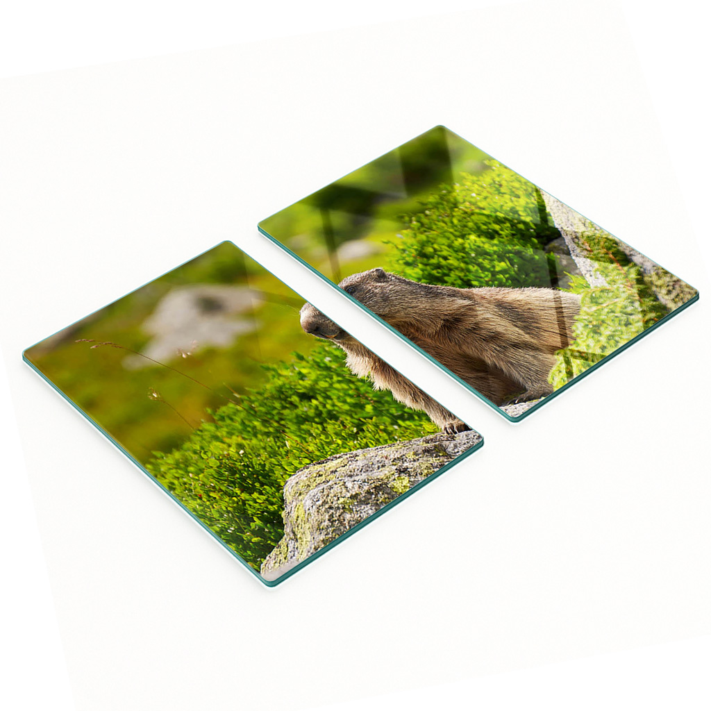 Robuste Und Stilvolle Glasplatten Mit Tatra-murmeltier-muster, 2 X 40 X 52 Cm