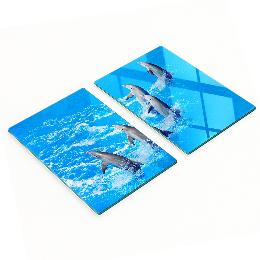 Multifunktionale Dekorative Glasplatten Mit Delfinmotiv, 2 X 40 X 52 Cm