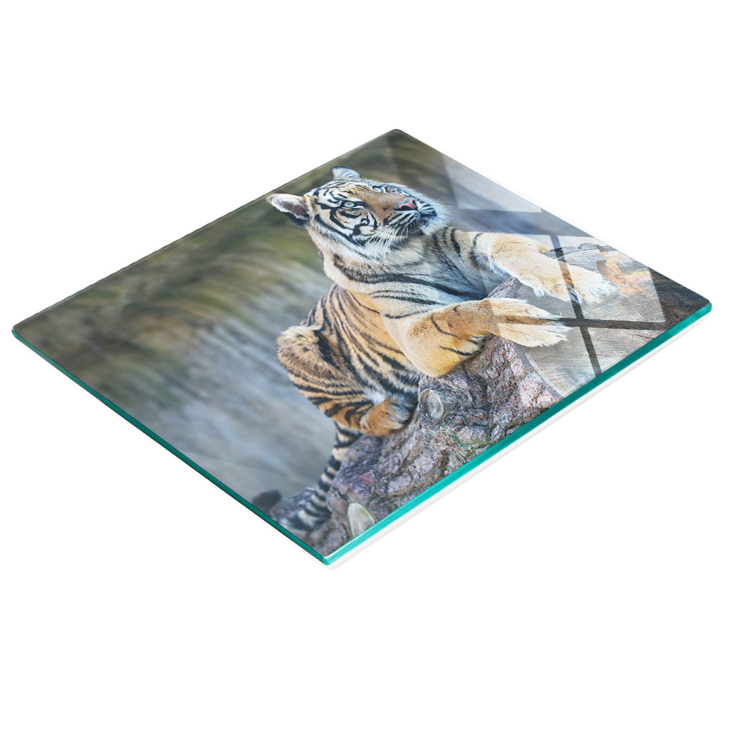 Multifunktionale Küchen-dekorationsplatte Aus Gehärtetem Glas, Tigermotiv, 60 X 52 Cm