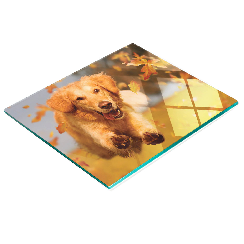 Dekorative Glas-snackplatte Mit Golden-retriever-motiv, 60 X 52 Cm