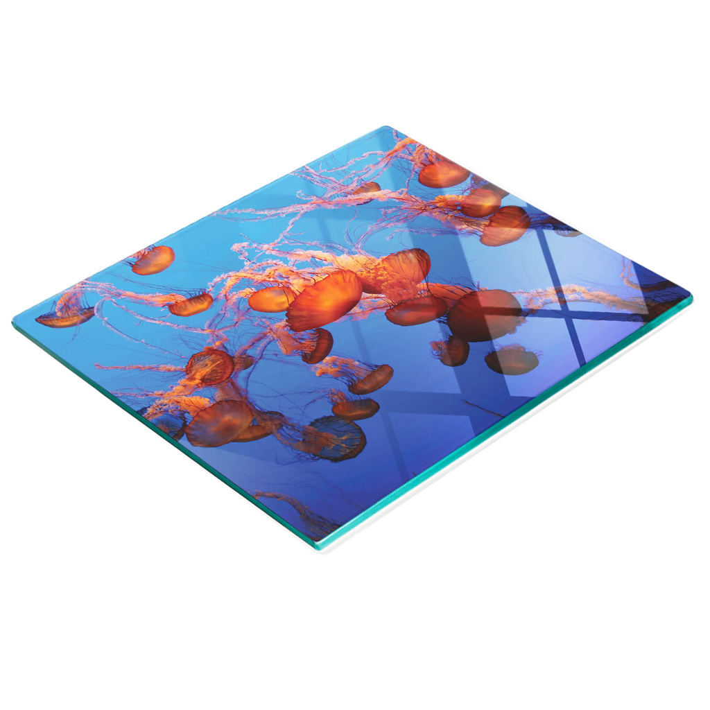 Multifunktionale Küchen-dekorationsplatte Aus Gehärtetem Glas, Quallenmotiv, 60 X 52 Cm