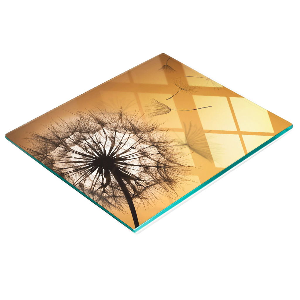 Multifunktionale Küchen-dekorationsplatte Aus Gehärtetem Glas, Löwenzahn-motiv, 60 X 52 Cm