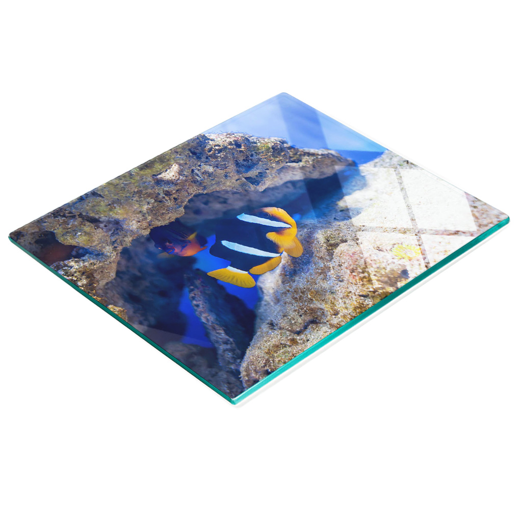 Multifunktionale, Dekorative Glasplatte Für Die Küche, Motiv: Tropische Fische, 60 X 52 Cm