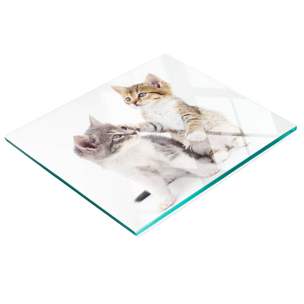 Dekorative, Multifunktionale Glasplatte Aus Gehärtetem Glas Mit Dem Motiv „zwei Kleine Katzen“, 60 X 52 Cm