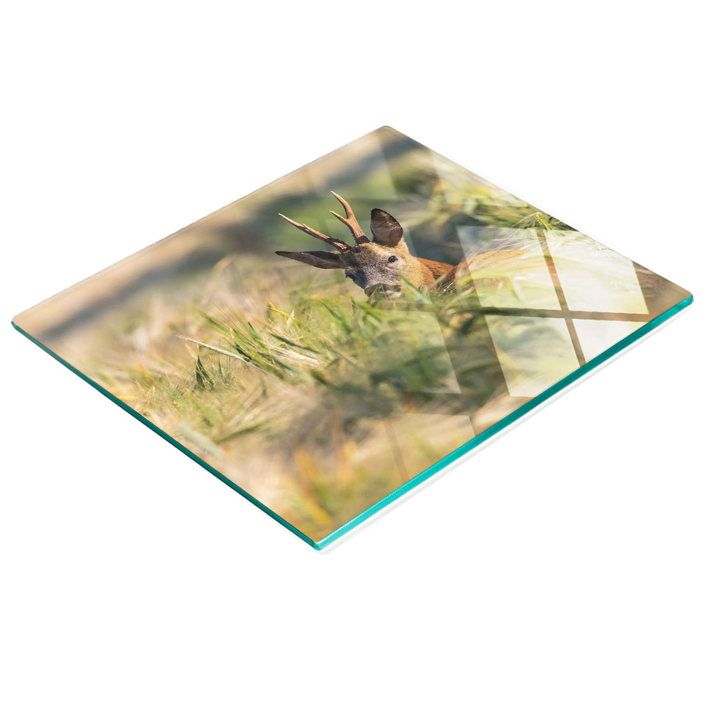 Dekorative, Multifunktionale Glasplatte Aus Gehärtetem Glas, Motiv: Hirschwiese, 60 X 52 Cm