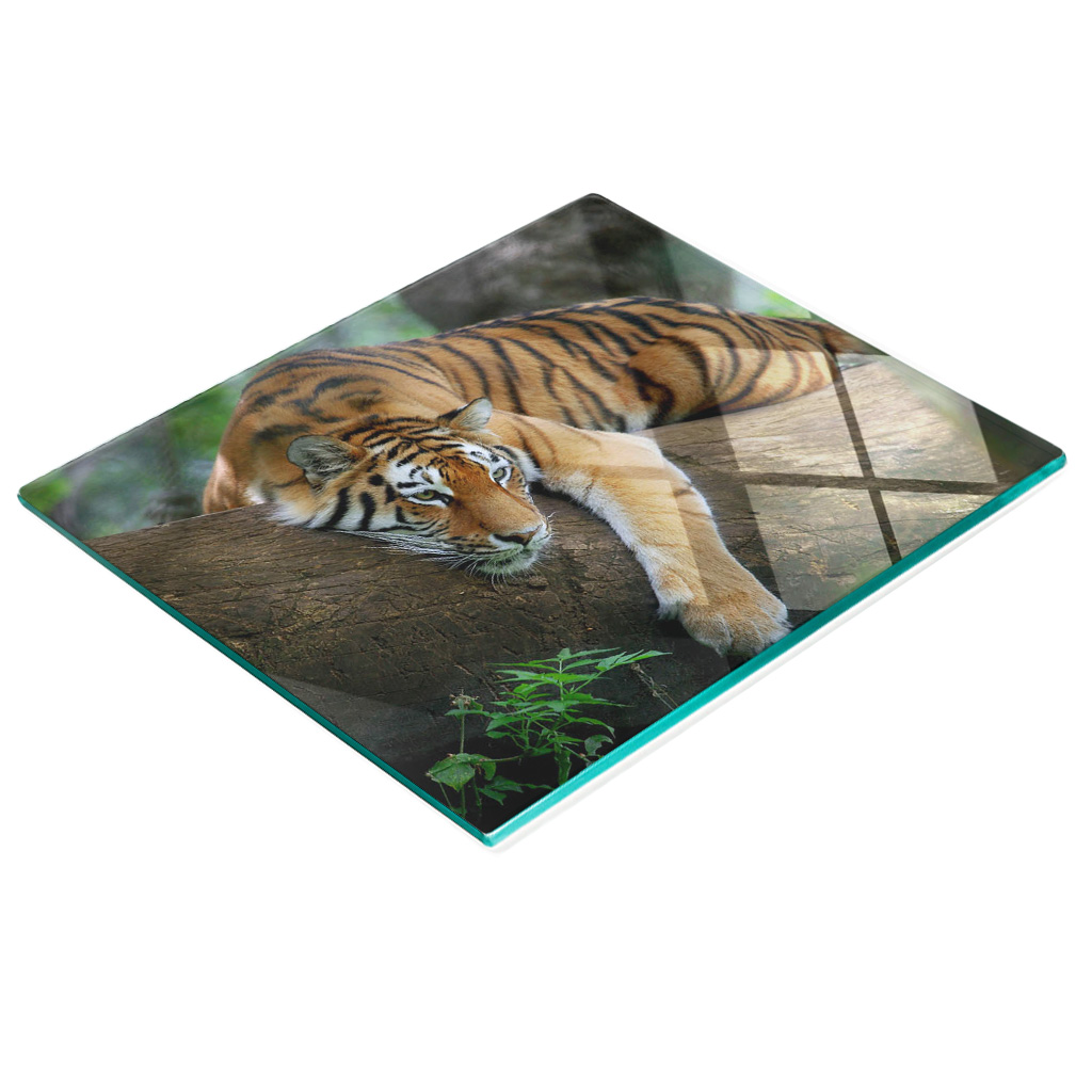 Stilvolle Und Robuste Glasplatte Mit Tiger-auf-einem-baum-motiv, 60 X 52 Cm