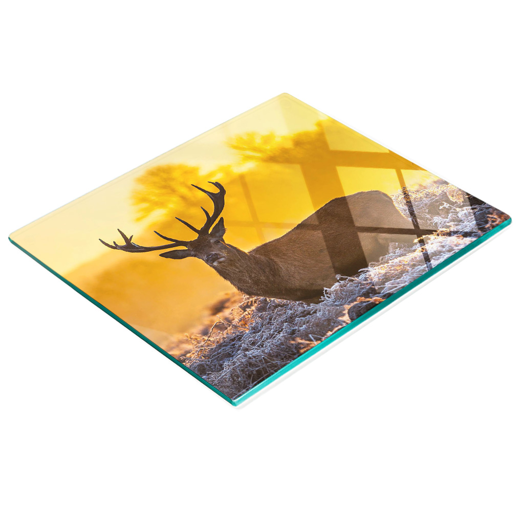 Dekorative Glas-küchenplatte „sonnenaufgang Über Einem Hirsch“, 60 X 52 Cm