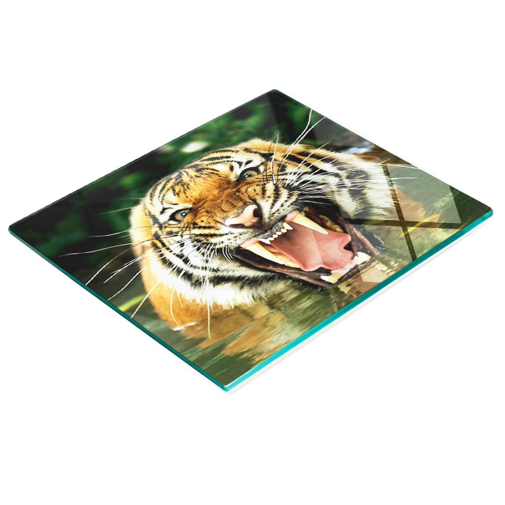Dekorative, Multifunktionale Glasplatte Aus Gehärtetem Glas, Motiv: Brüllender Tiger, 60 X 52 Cm