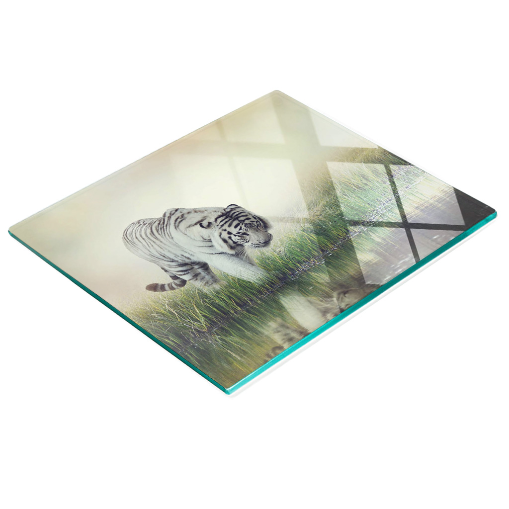 Multifunktionale Küchen-dekorationsglasplatte „weißer Tiger“ 60 X 52 Cm